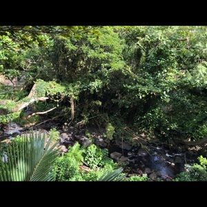 Meet your Posher, Isa